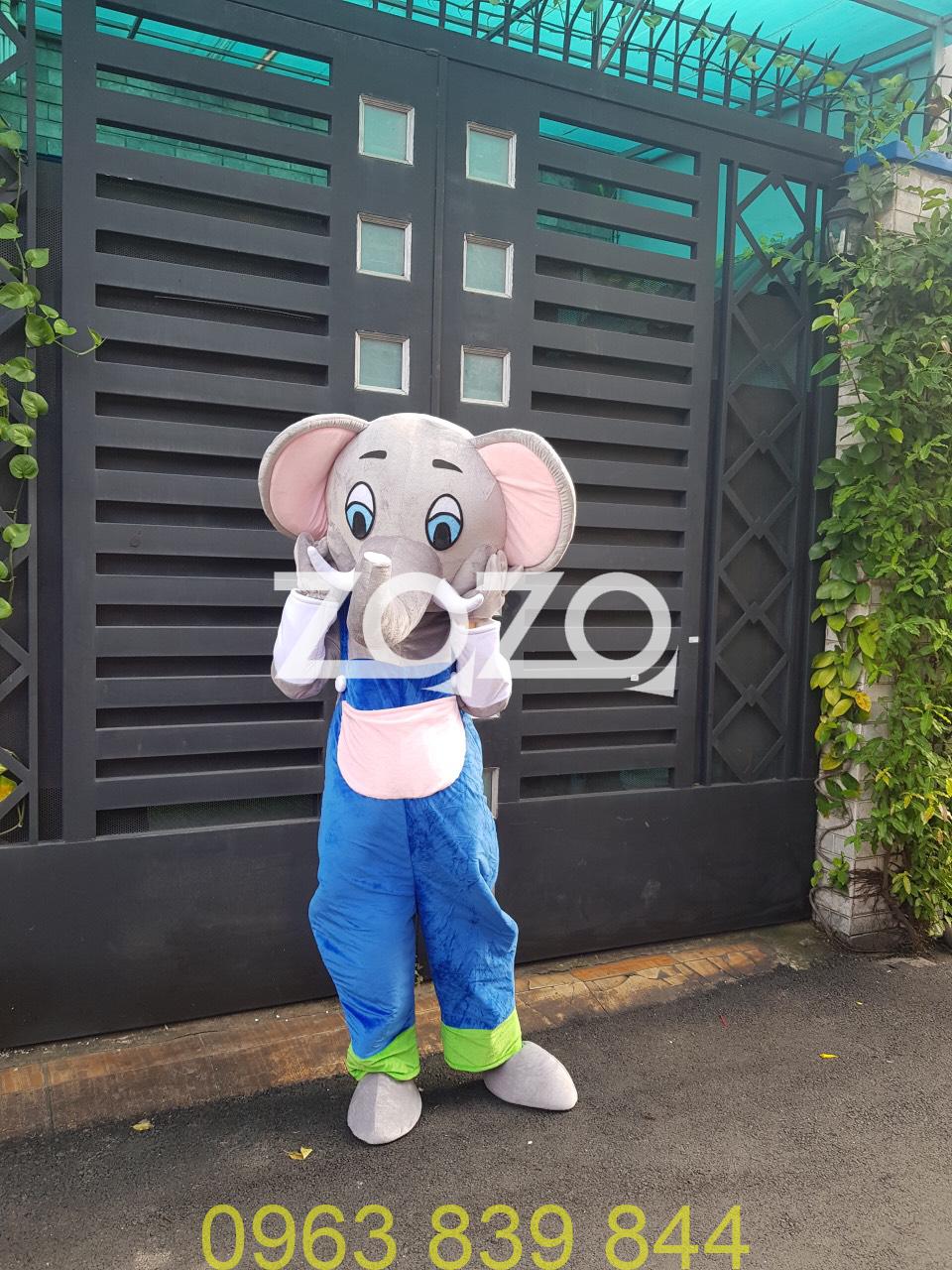 z2411966333146_232f7528fd6f47a57163eccd7147d910