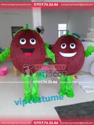 z4575577046920_d207de525687a0e712e2aee3b394cc51 Mascot thanh long