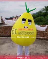 mascot bưởi