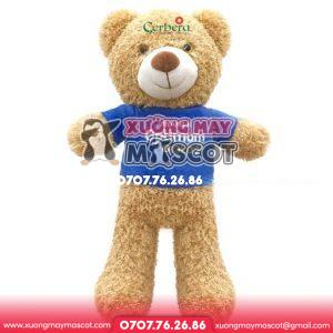 Gấu teddy nhãn hàng Vinamilk