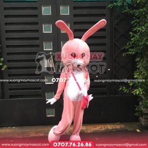 Mascot Thỏ Hồng