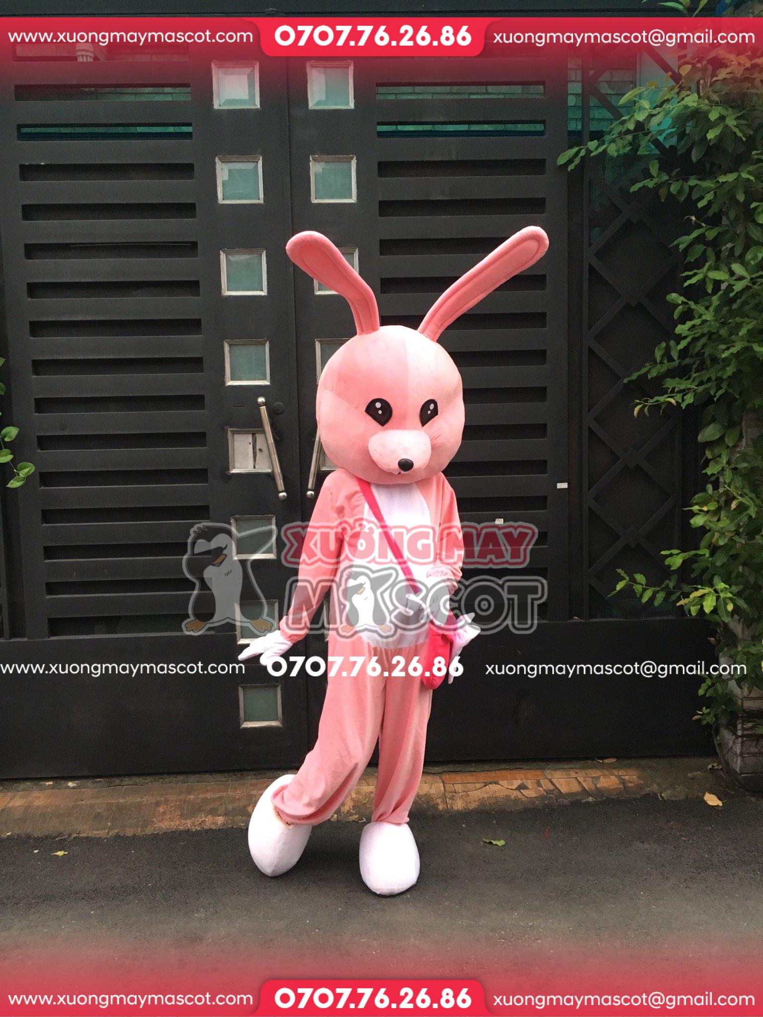 z4667369041680_963219c0fde41f08c7ce747d329a493d