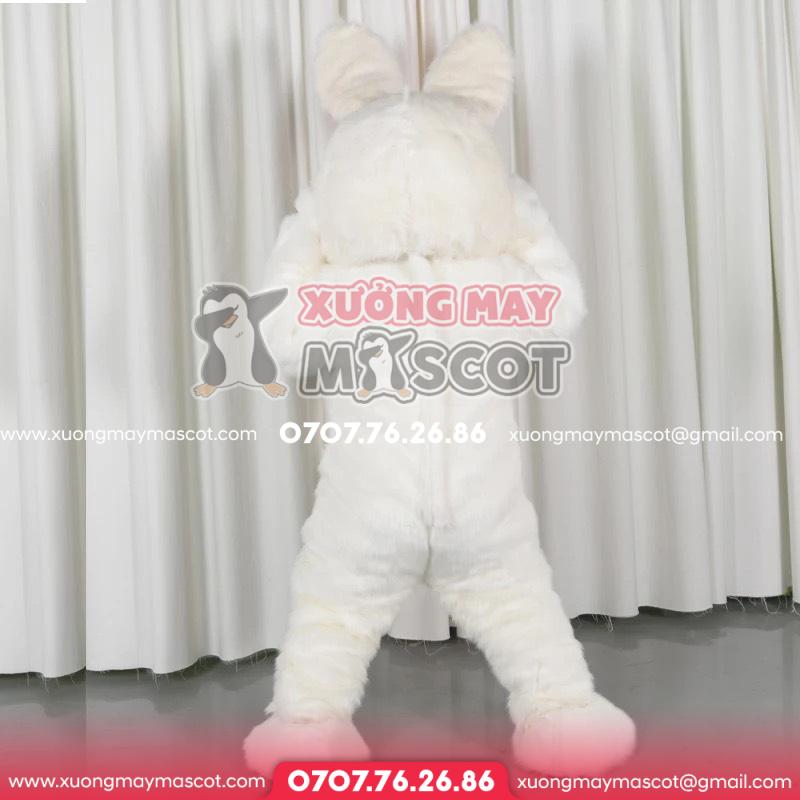 z4712019857836_64e8f8d4e64e6ef8f0d30e0bba9399d7