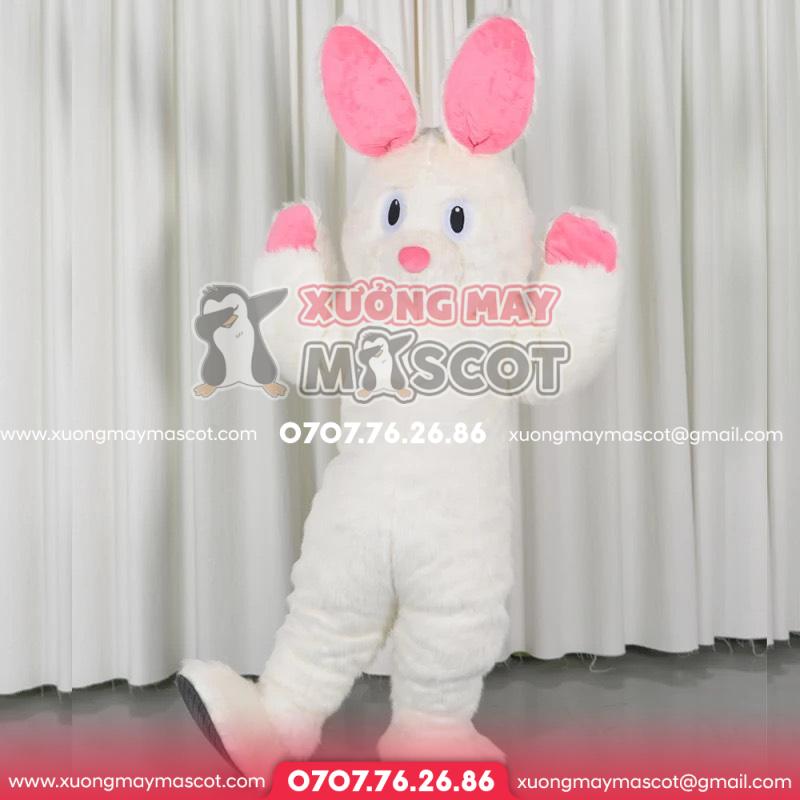 z4712019859642_85a32b03e103c0370c0b16b877087765