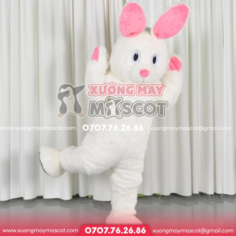 z4712019863419_ec5f041fe2183050bedde50d1454436f