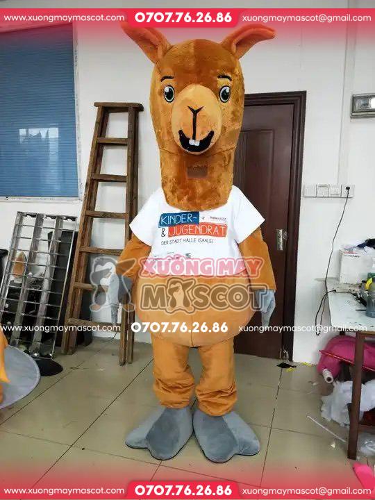 z4727212992675_66fbded29f568a1c2da79ab74a8589a8