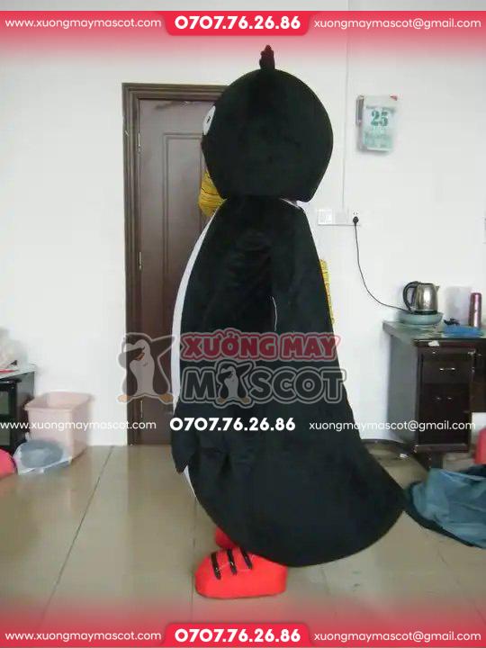 z4732537208602_35830670699b234db7ed02fbc3241c85