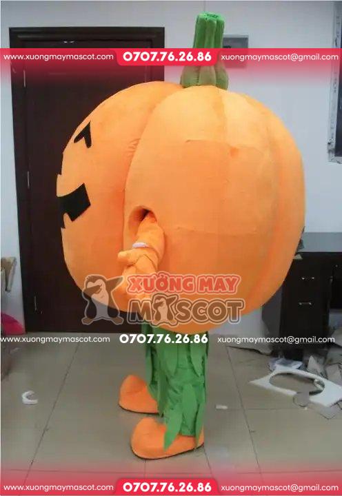 z4782971093869_5b7ff741a739a941971a1c9d2b5629cb