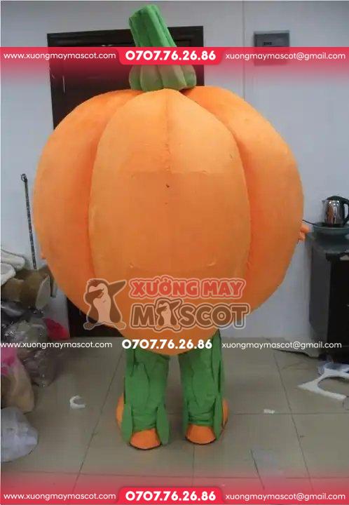 z4782971098960_66a4997450bffcc6c5e4955f7e80a714