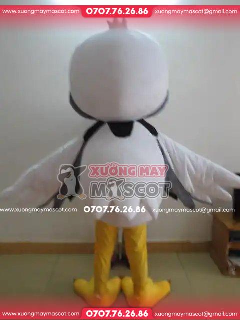 z4785486195801_e0347af35e92d70ede83252ecf5456b3