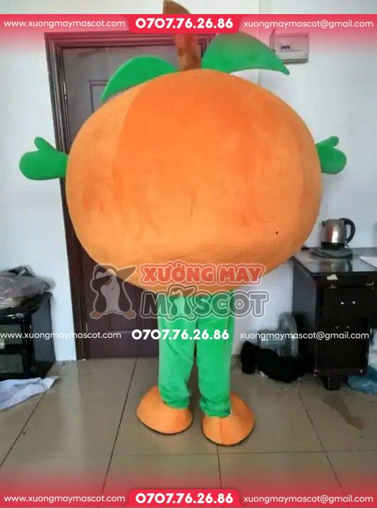 z4967689803334_be957da1071a58688d7e1c6a21b1ba00