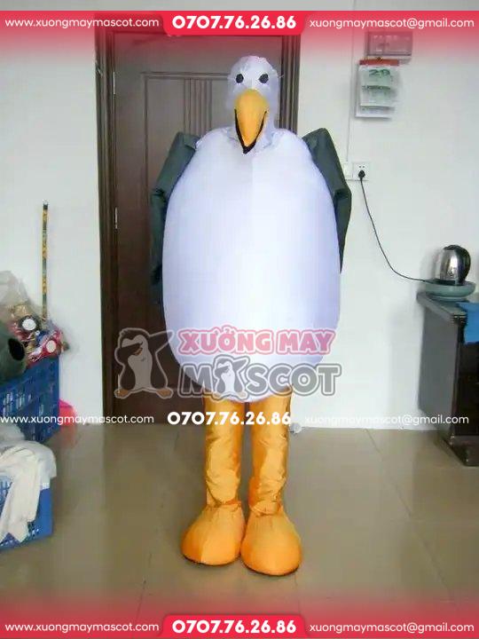 z4970919857532_ad5825bc1f961cb729729b53443c1d2d