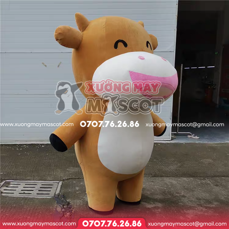 z5031246255122_aad8ebb2ab0964355dce063ea7b1060e