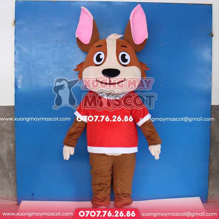 z5034627482454_3f054af96d95ca8a8b34aa39365e0bb9