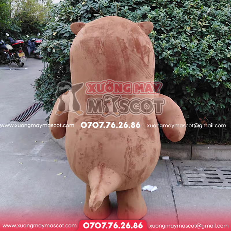 z5038060175199_1a16c4e31f8e233d8e1eacdfc0b1a082