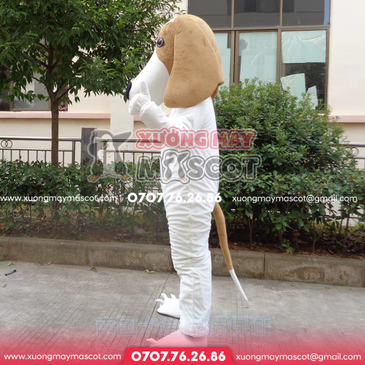 z5061282936191_8e59663309c2b68dade9b3f3a20986a2