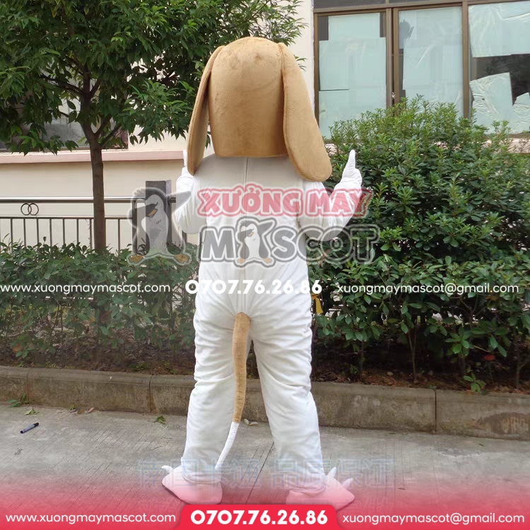 z5061282936510_a6bb9d4e9b33c53ae4d3a8e9a0255419