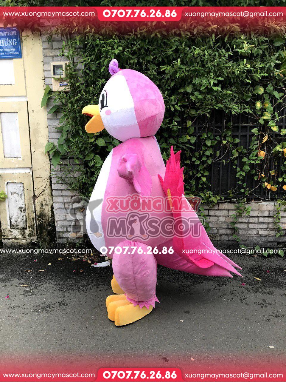 z5182363352649_704d746cb33020b542db5d2917f6a1fe