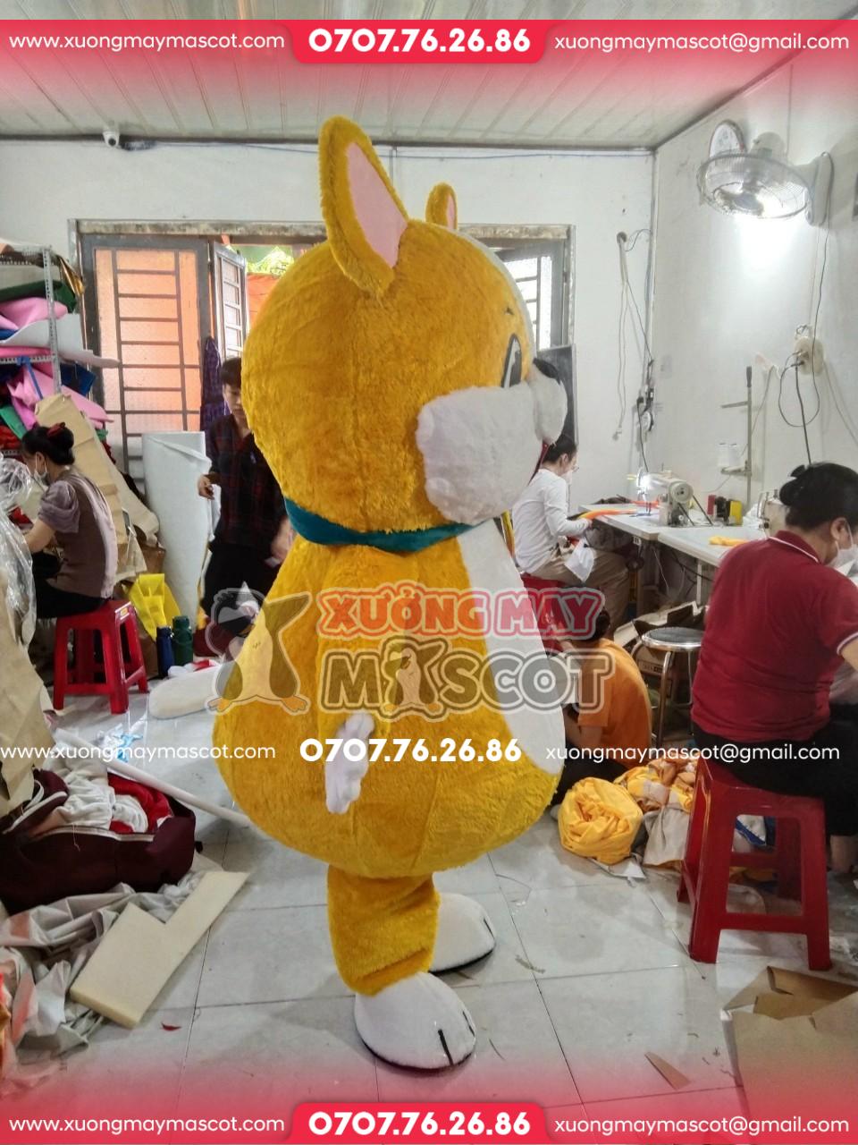 z5272820334486_602abb04995909b6b1dc267368be4cd8