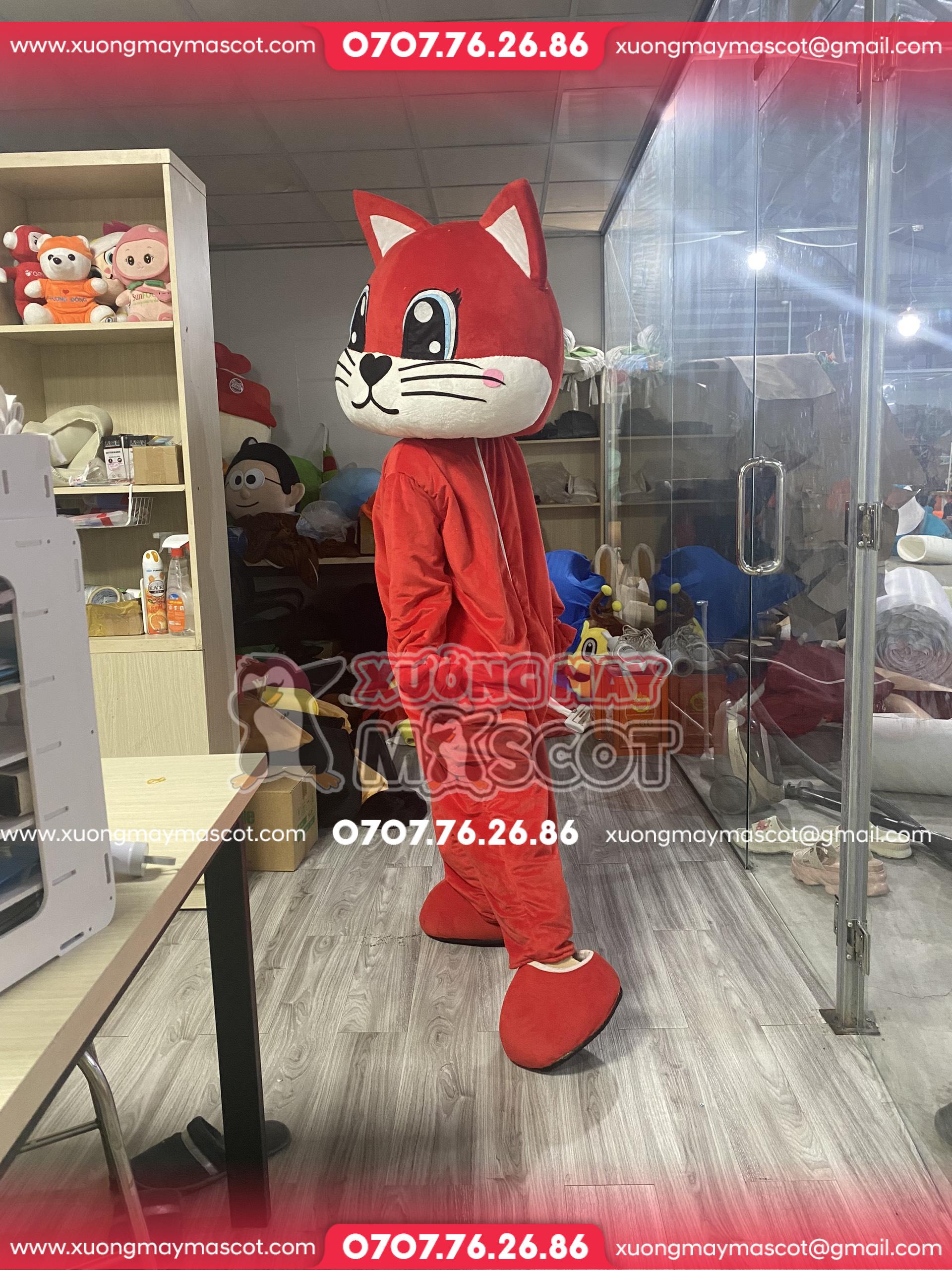 z5547524499821_c48950225a874c8b3374e78007921a71