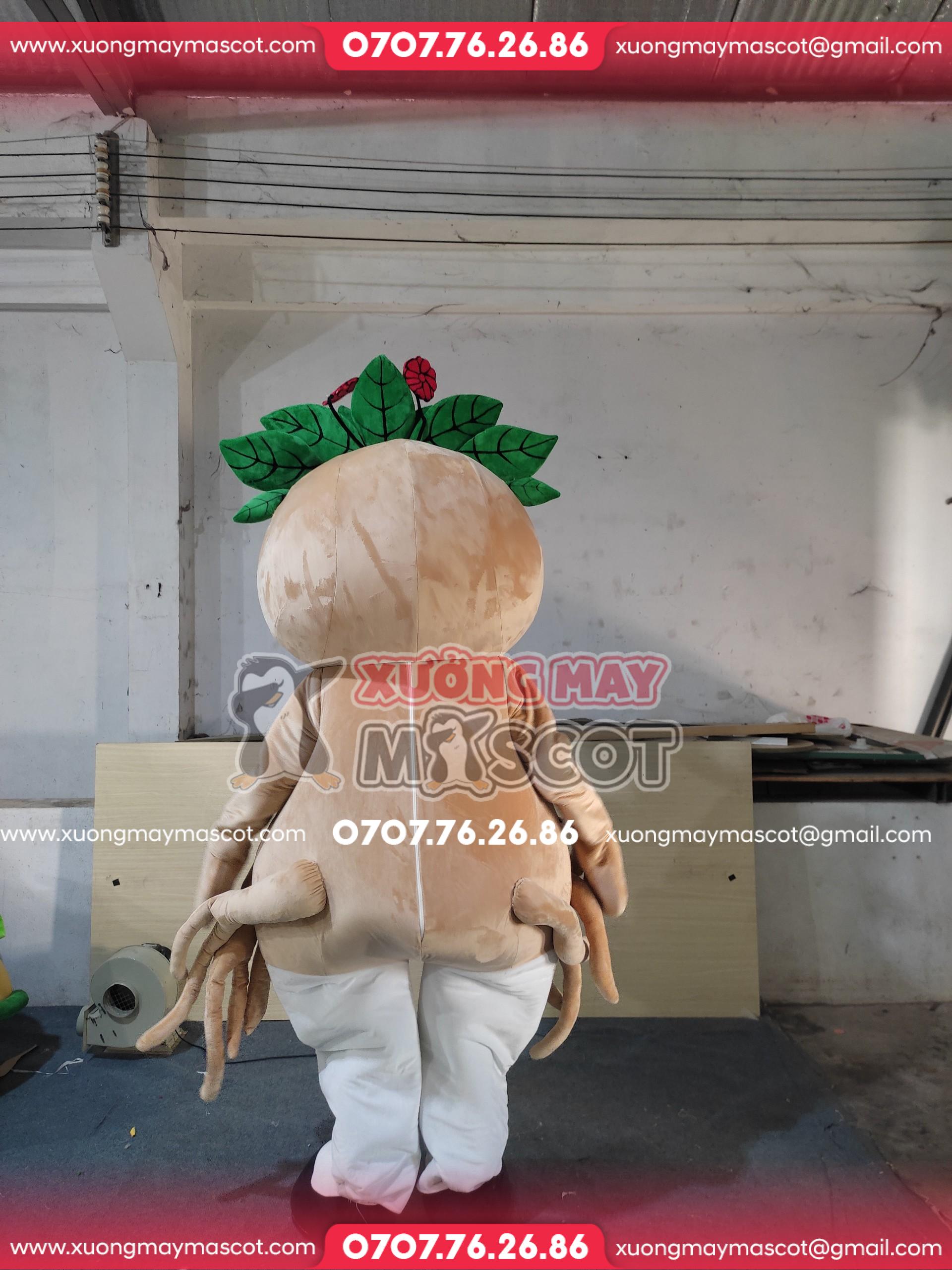 z5536876760755_037_dbb2596206cf16418e81905065ba0e99