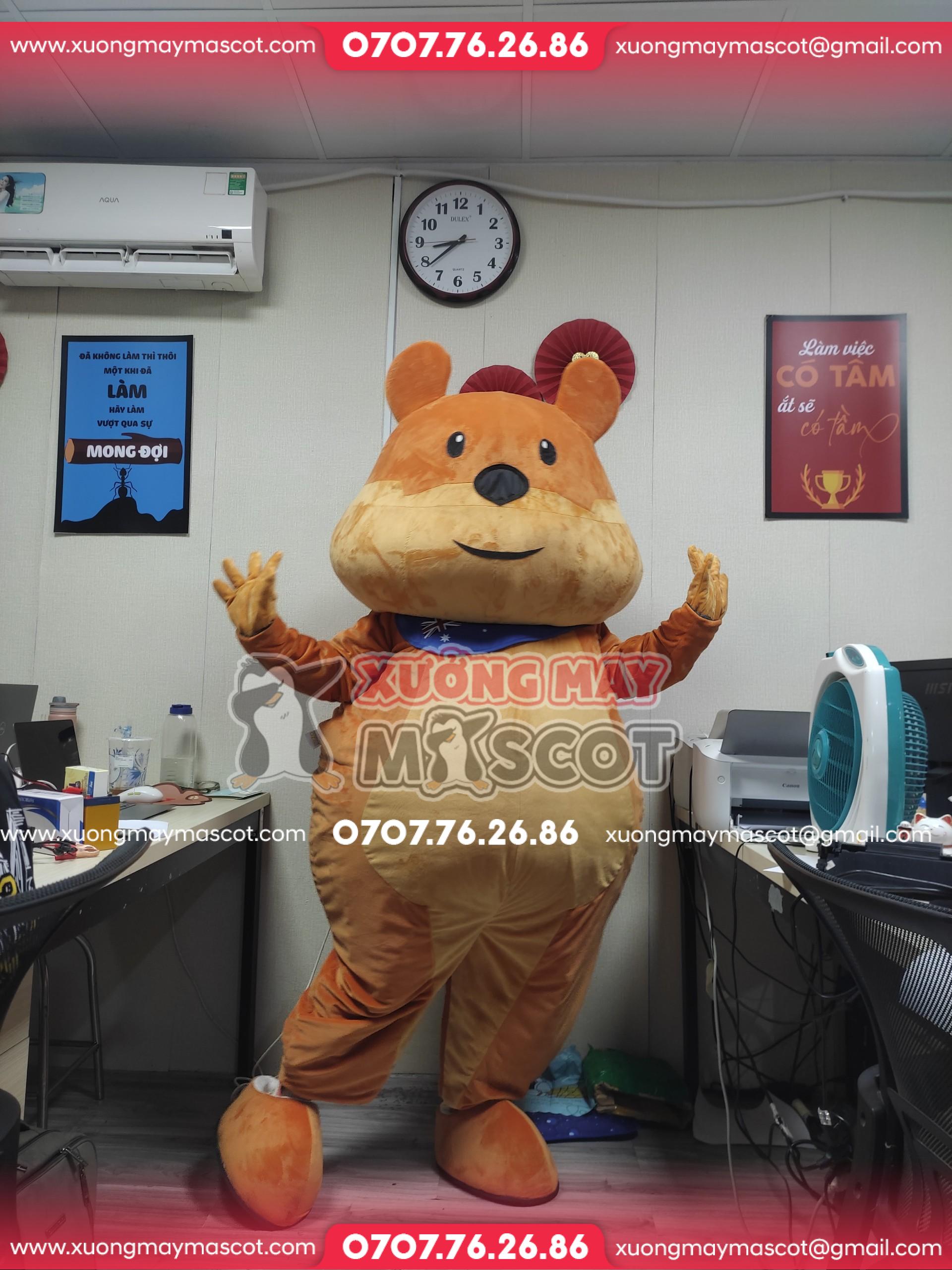 z5537030979763_def3d6816b0110c9e5d453117f78474c