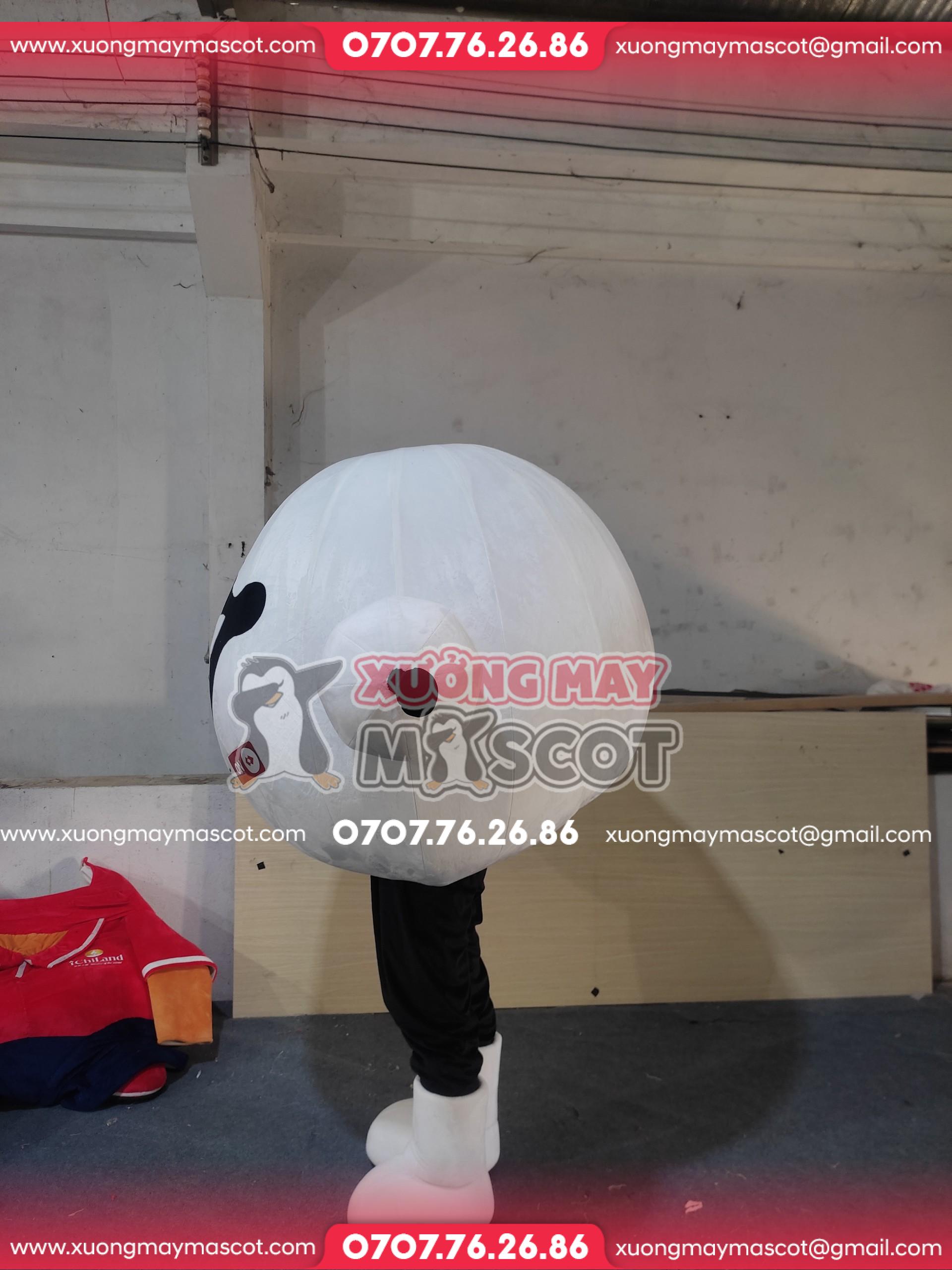 z5536876760755_023_f89b8e46b50e9620a63595a4ccabec62